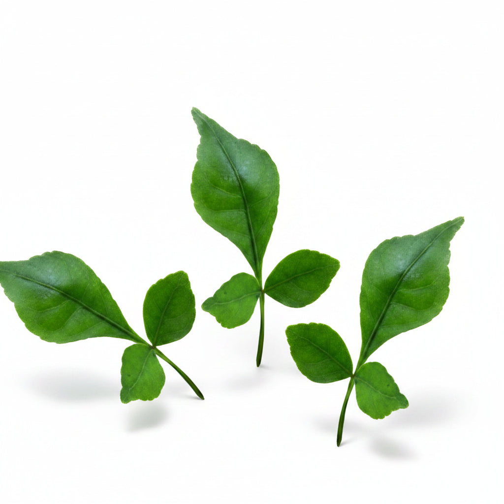 Bel Patra Green-27+1 Leaves