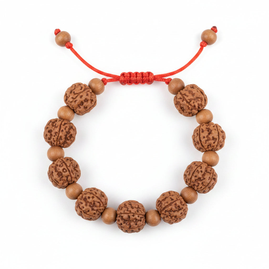 Premium 5 Mukhi Rudraksha x Sandalwood Adjustable Bracelet-14 mm
