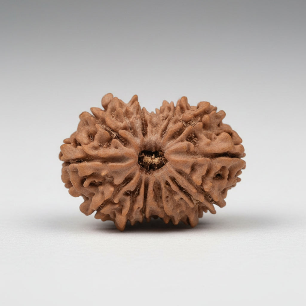 Fifteen MukhiI from Nepal LXXII