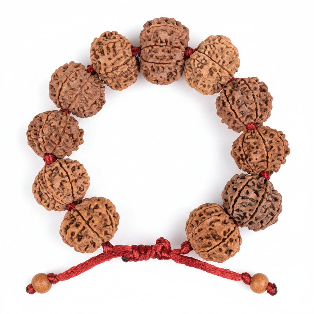 10 Mukhi Nepali Rudraksha Adjustable Bracelet