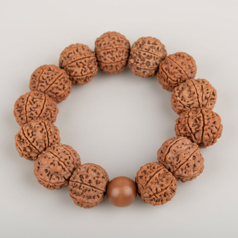 10 Mukhi Nepali Rudraksha Bracelet