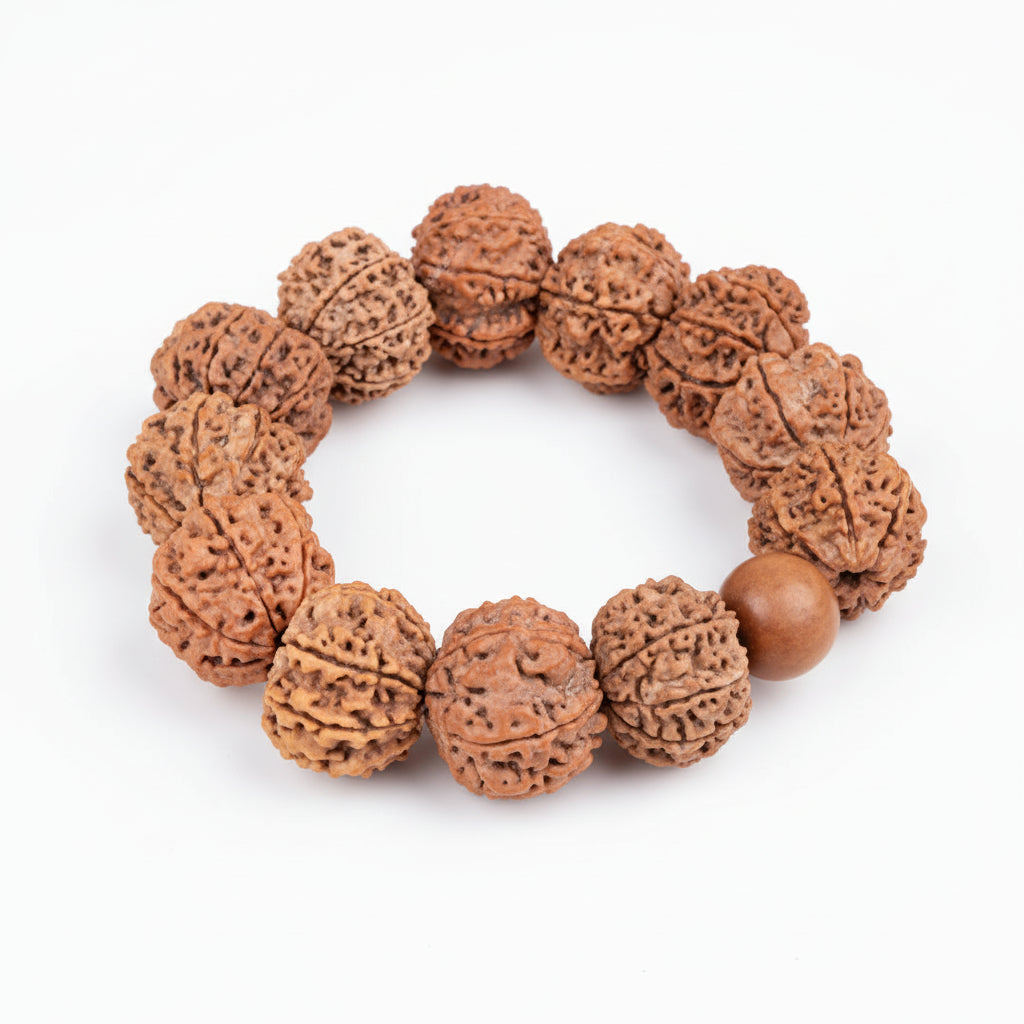 10 Mukhi Nepali Rudraksha Bracelet