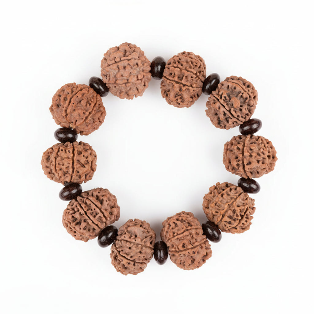 10 Mukhi Nepali Rudraksha x Red Sandalwood Bracelet