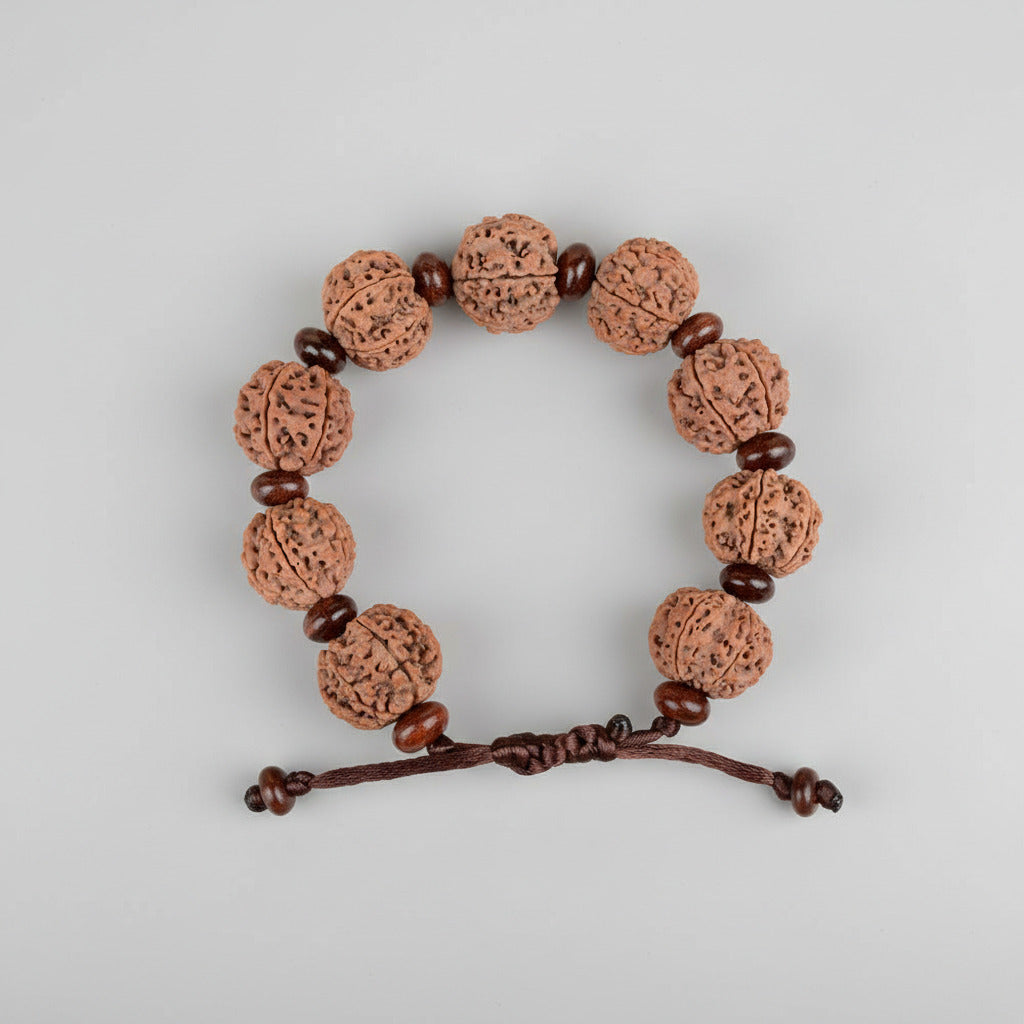 6 Mukhi Nepali Rudraksha x Red Sandal Adjustable Bracelet-Large