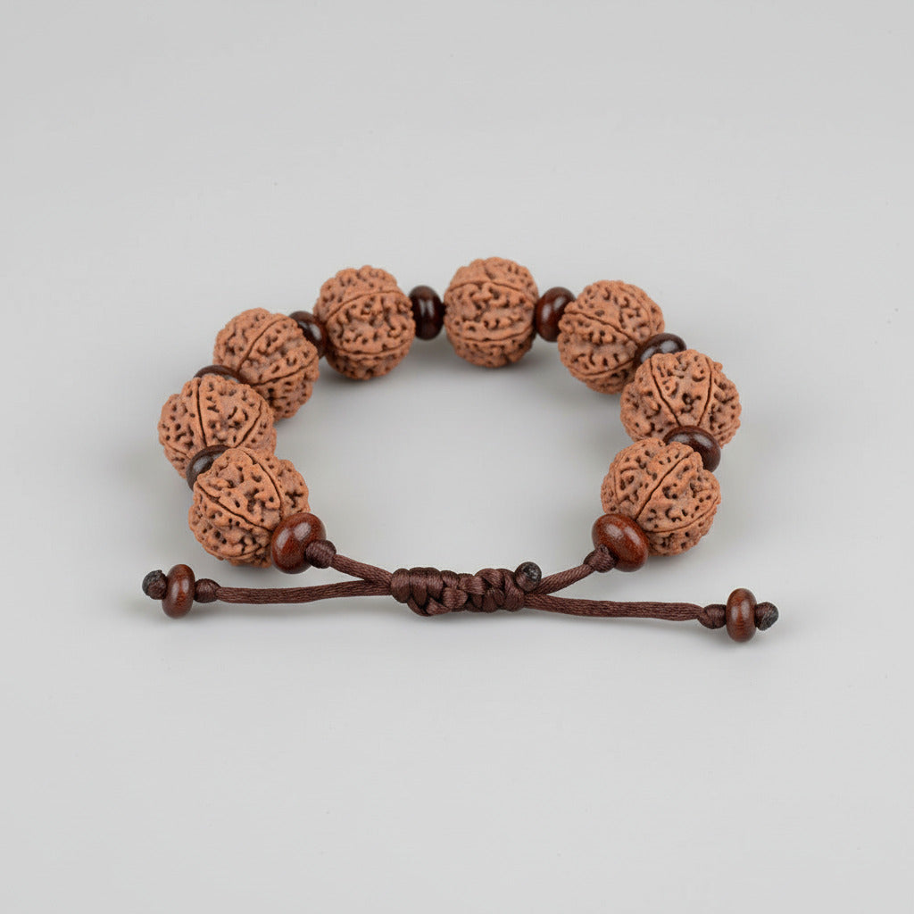 6 Mukhi Nepali Rudraksha x Red Sandal Adjustable Bracelet-Regular