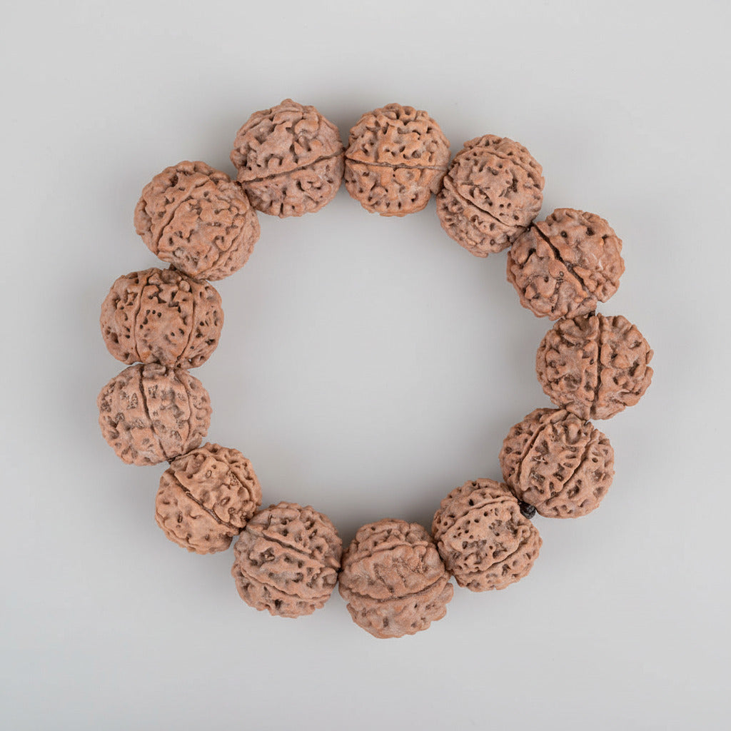 6 Mukhi Nepali Rudraksha Bracelet-Large