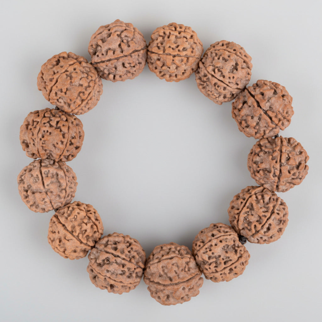 6 Mukhi Nepali Rudraksha Bracelet-Large