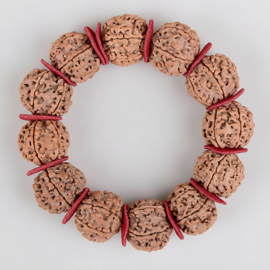 6 Mukhi Nepali Rudraksha Woolen Spacers Bracelet-Large