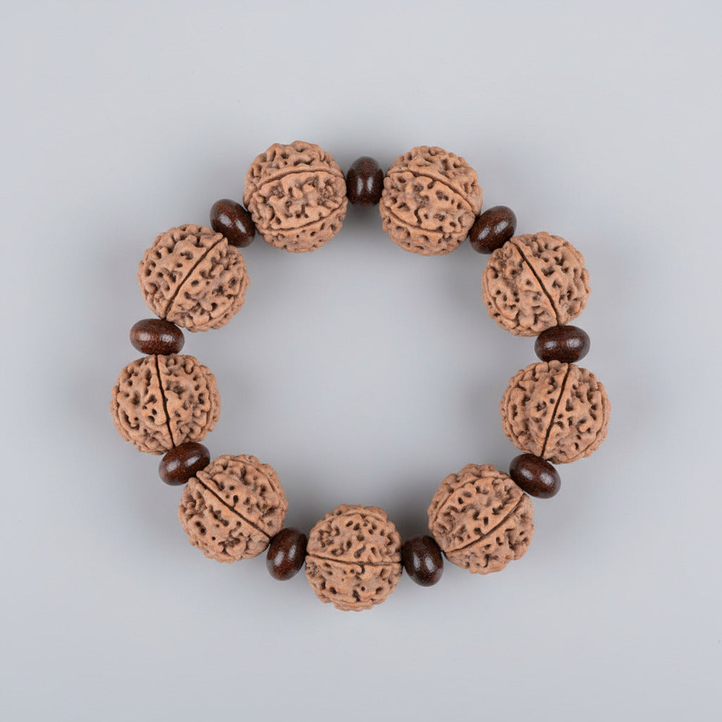 6 Mukhi Nepali Rudraksha x Red Sandalwood Bracelet-Large