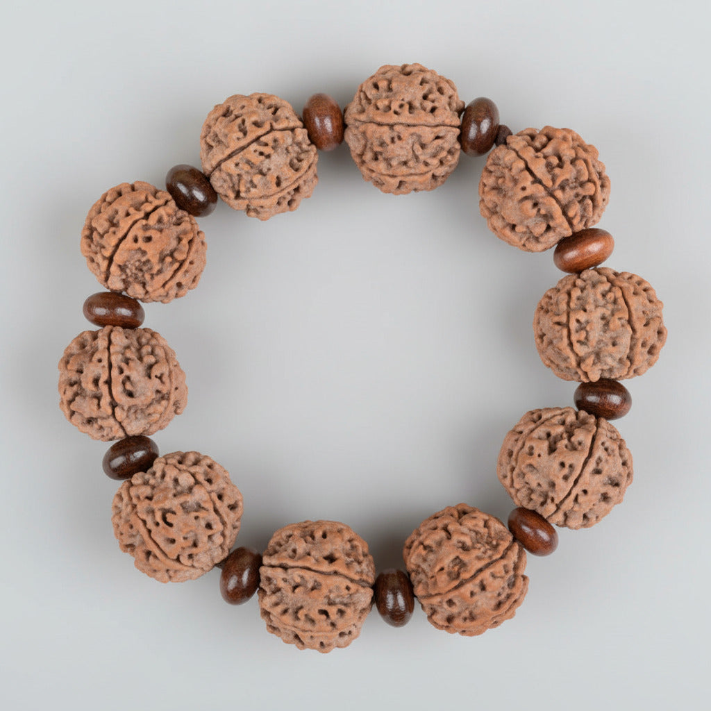 6 Mukhi Nepali Rudraksha x Red Sandalwood Bracelet-Large