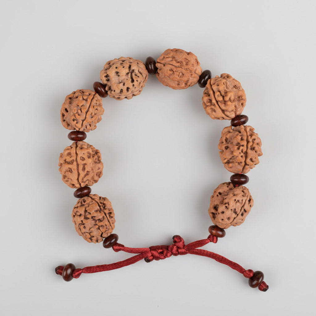 3 Mukhi Nepali Rudraksha x Red Sandal Adjustable Bracelet-Large