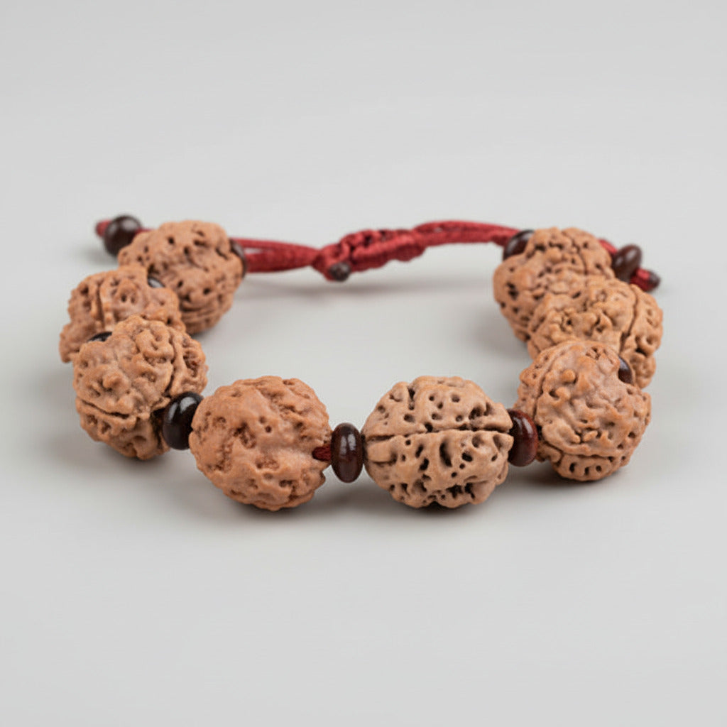 3 Mukhi Nepali Rudraksha x Red Sandal Adjustable Bracelet-Regular