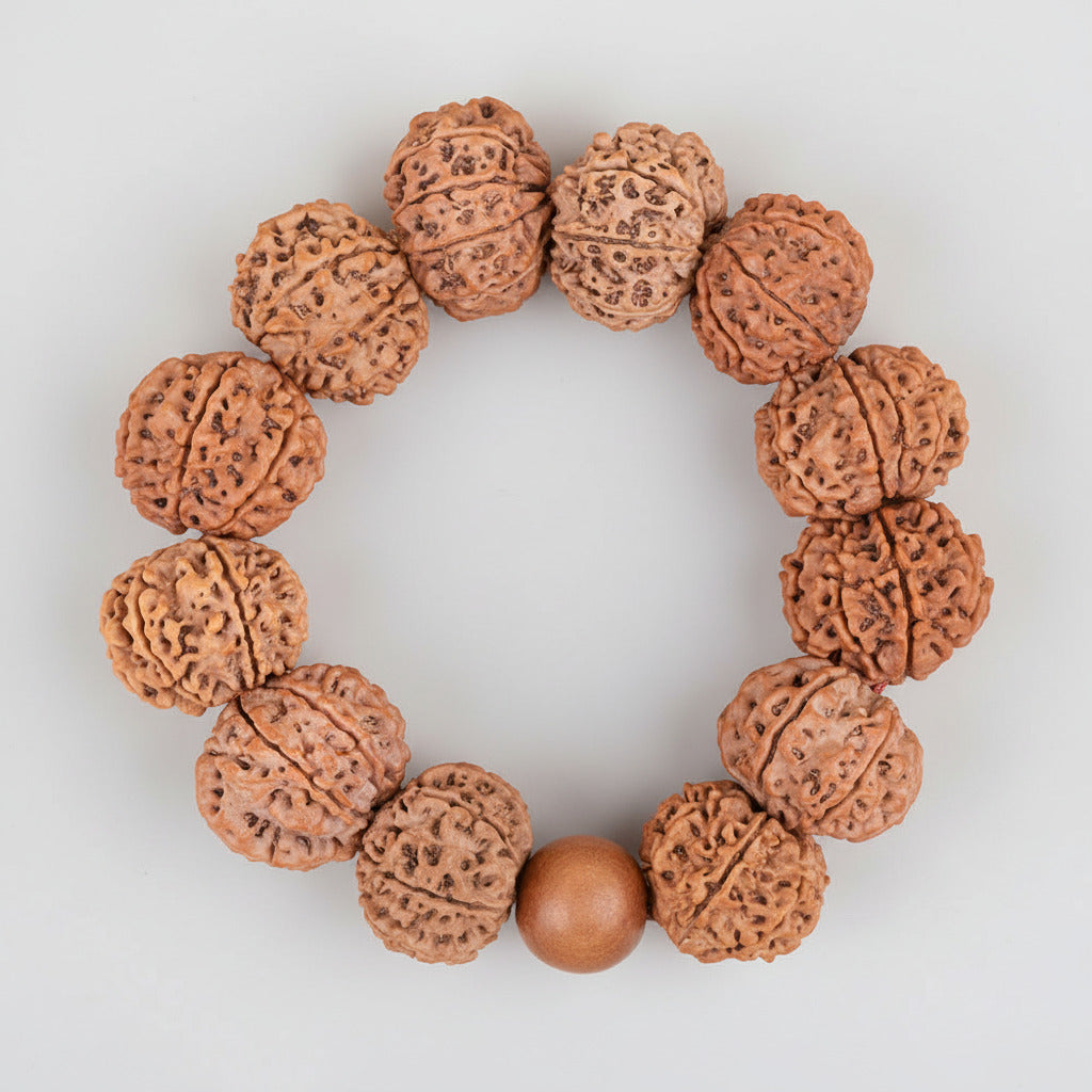 8 Mukhi Nepali Rudraksha Bracelet