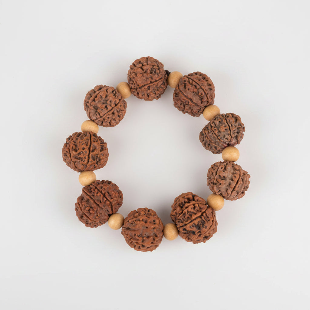 8 Mukhi Nepali Rudraksha x White Sandal Bracelet