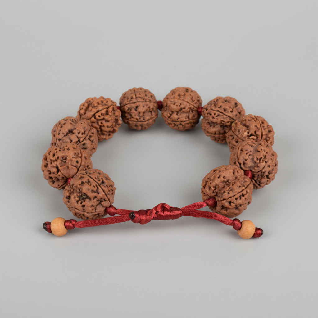 4 Mukhi Nepali Rudraksha Adjustable Bracelet-Large