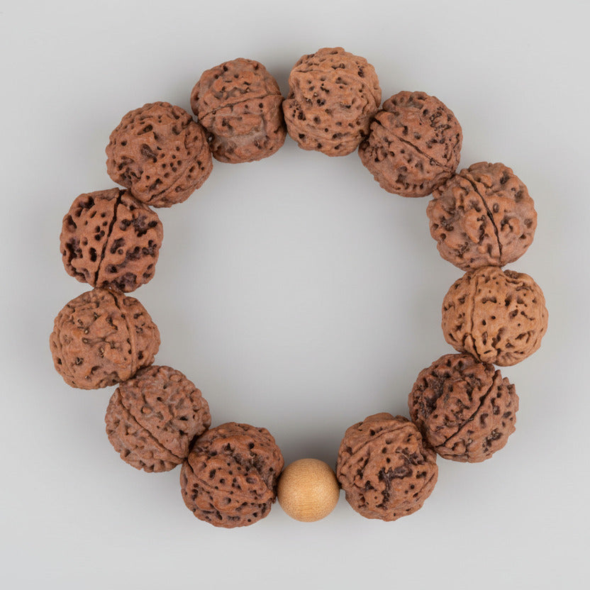4 Mukhi Nepali Rudraksha Bracelet-Regular