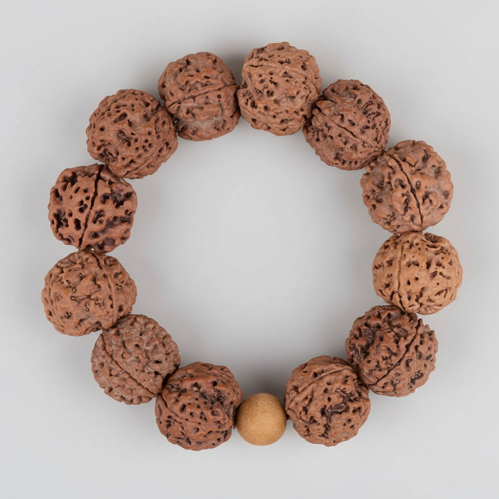 4 Mukhi Nepali Rudraksha Bracelet-Small