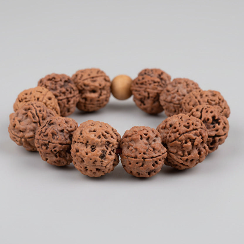 4 Mukhi Nepali Rudraksha Bracelet-Regular