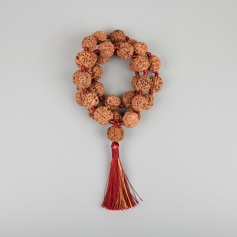3 Mukhi Nepal Rudraksha Kantha Mala-Large