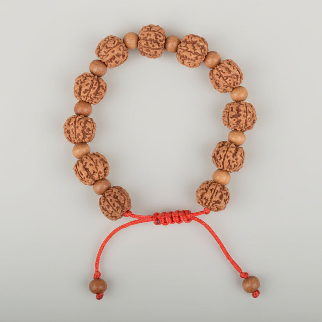 Premium 5 Mukhi Rudraksha x Sandalwood Adjustable Bracelet-10 mm