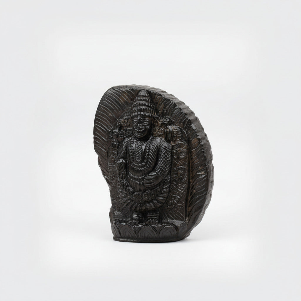 Varadaraja Tirupati Balaji Shaligram Idol
