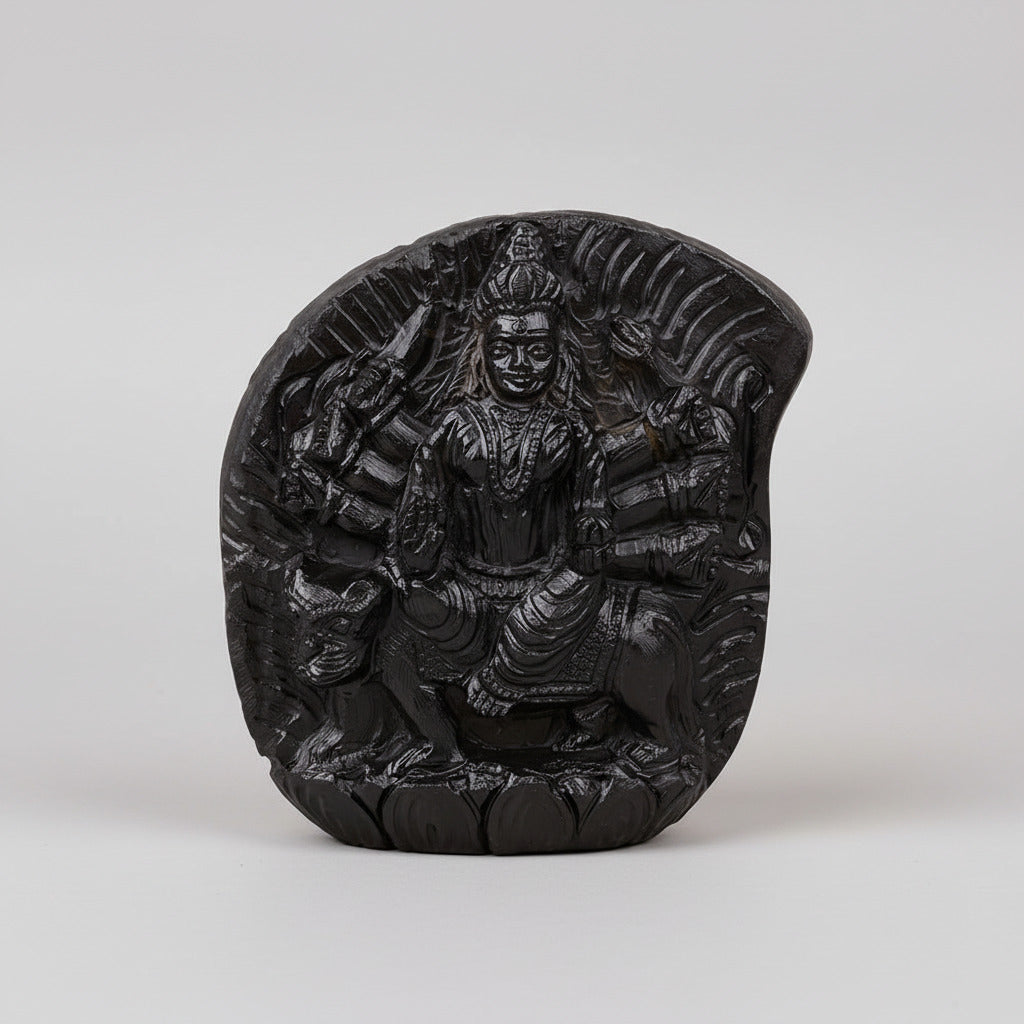 Durga Mata Shaligram Murti