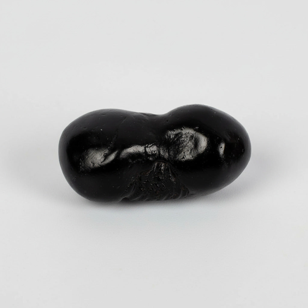 Santan Gopal Hayagriva Shaligram Shila