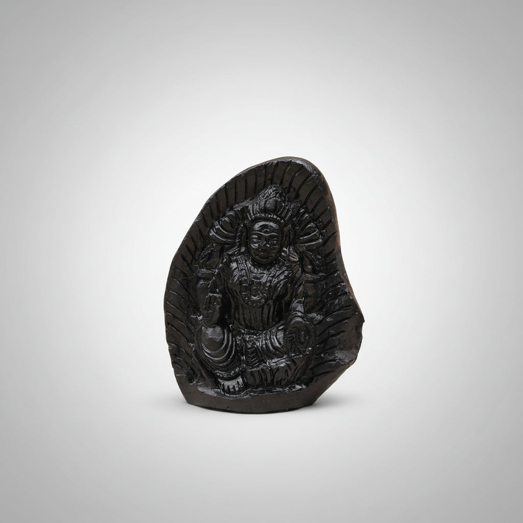 Padmavati Laxmi Shaligram Idol
