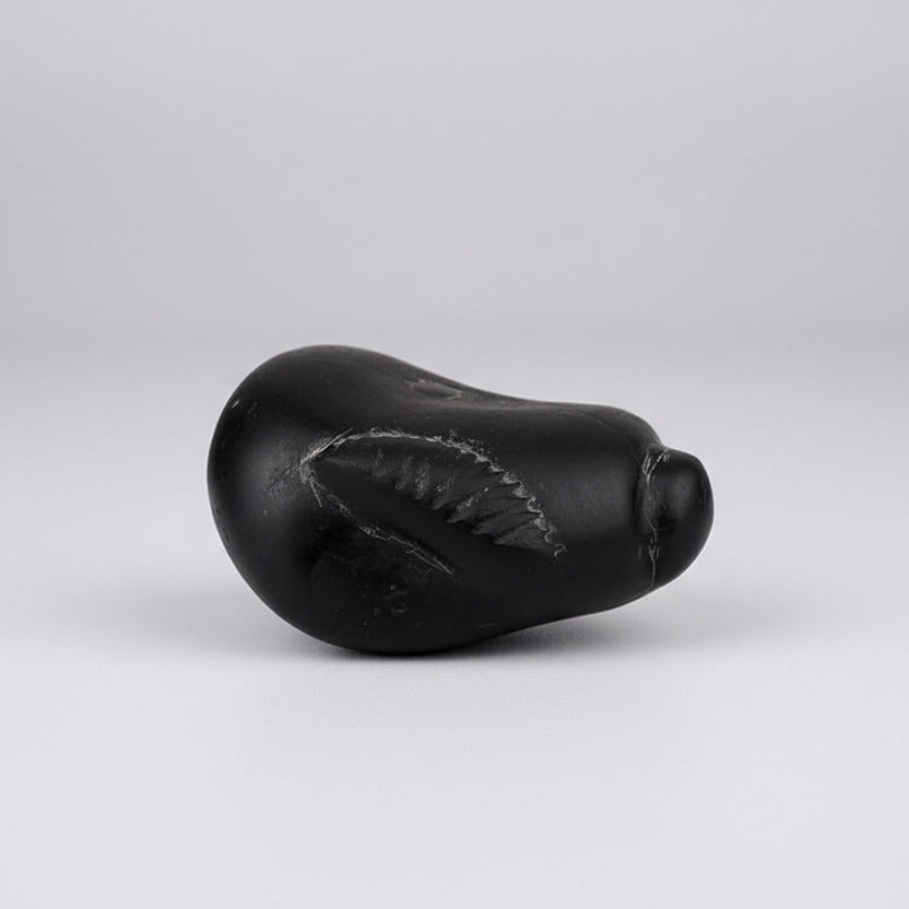 Mahalingam Trinetra Chandrashekar Shaligram