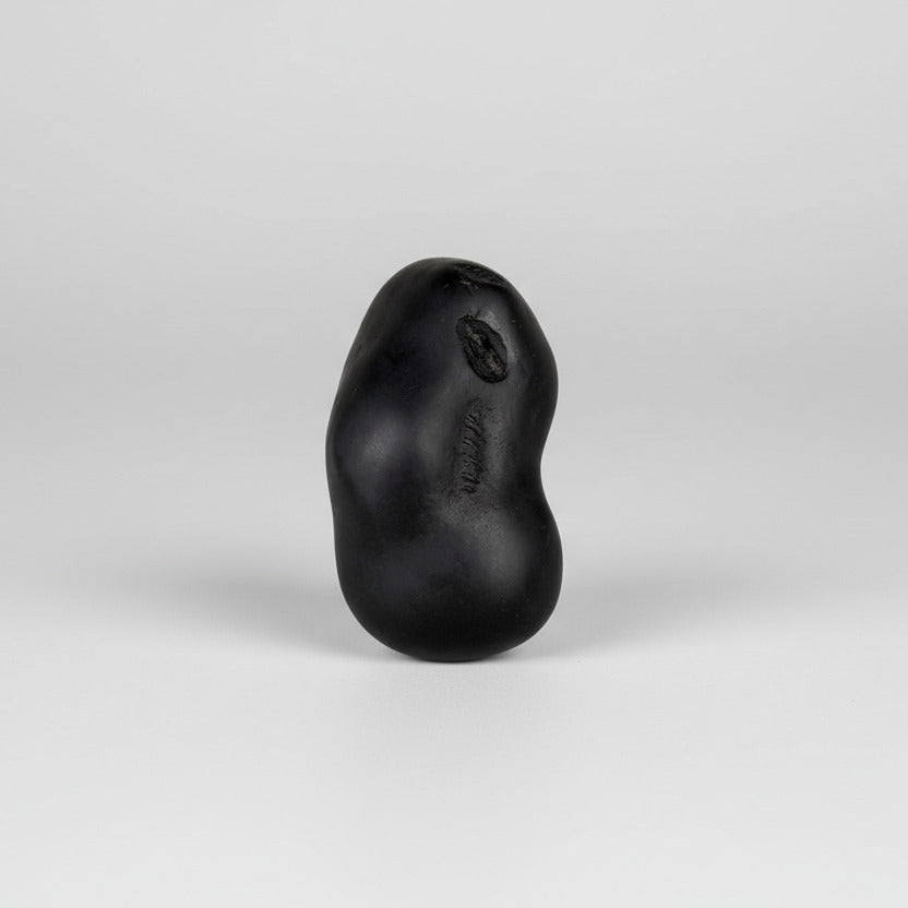 Santan Gopal Sudarshan Shaligram Shila
