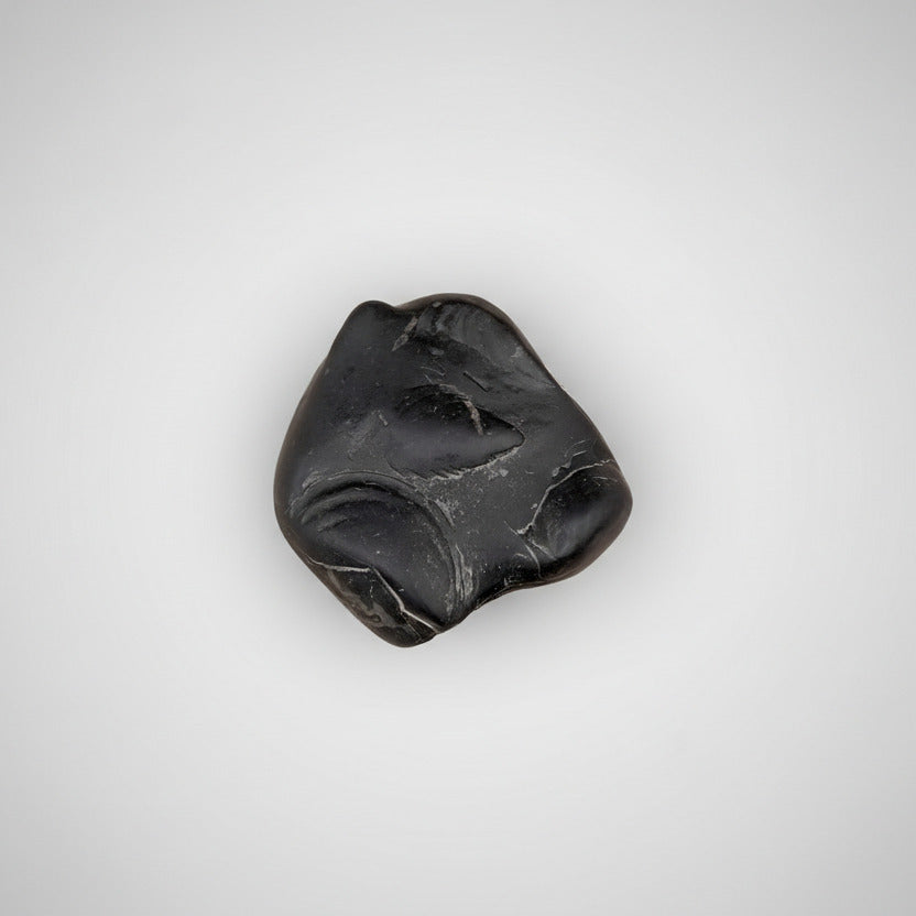 Radha Krishna Maha Aniruddha Chandrama Shaligram Shila
