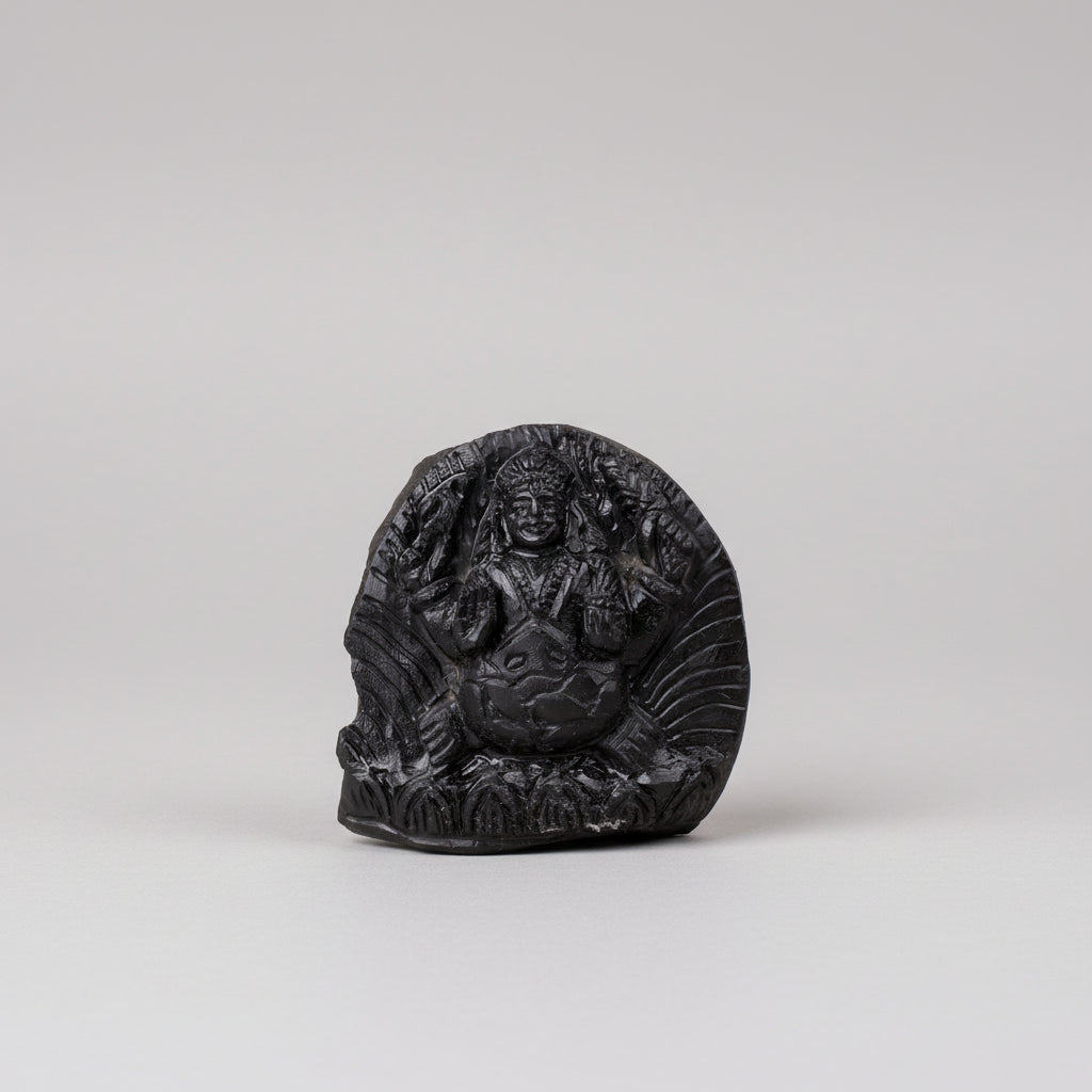 Kurma Shaligram Murti