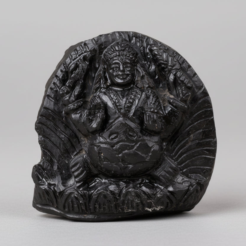 Kurma Shaligram Murti