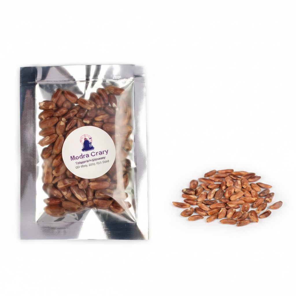 Rudraksha Seeds-50 Seeds