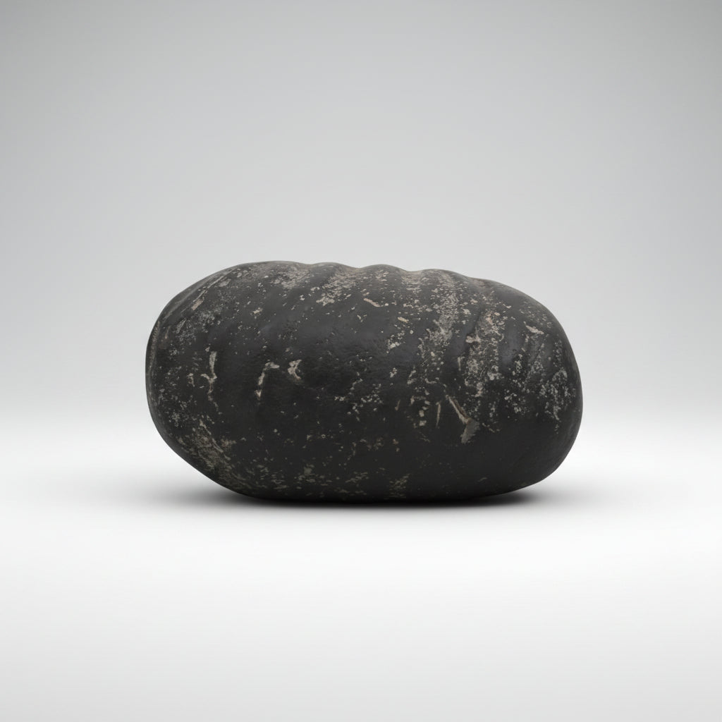 Laxmi Paduka Shaligram Shila