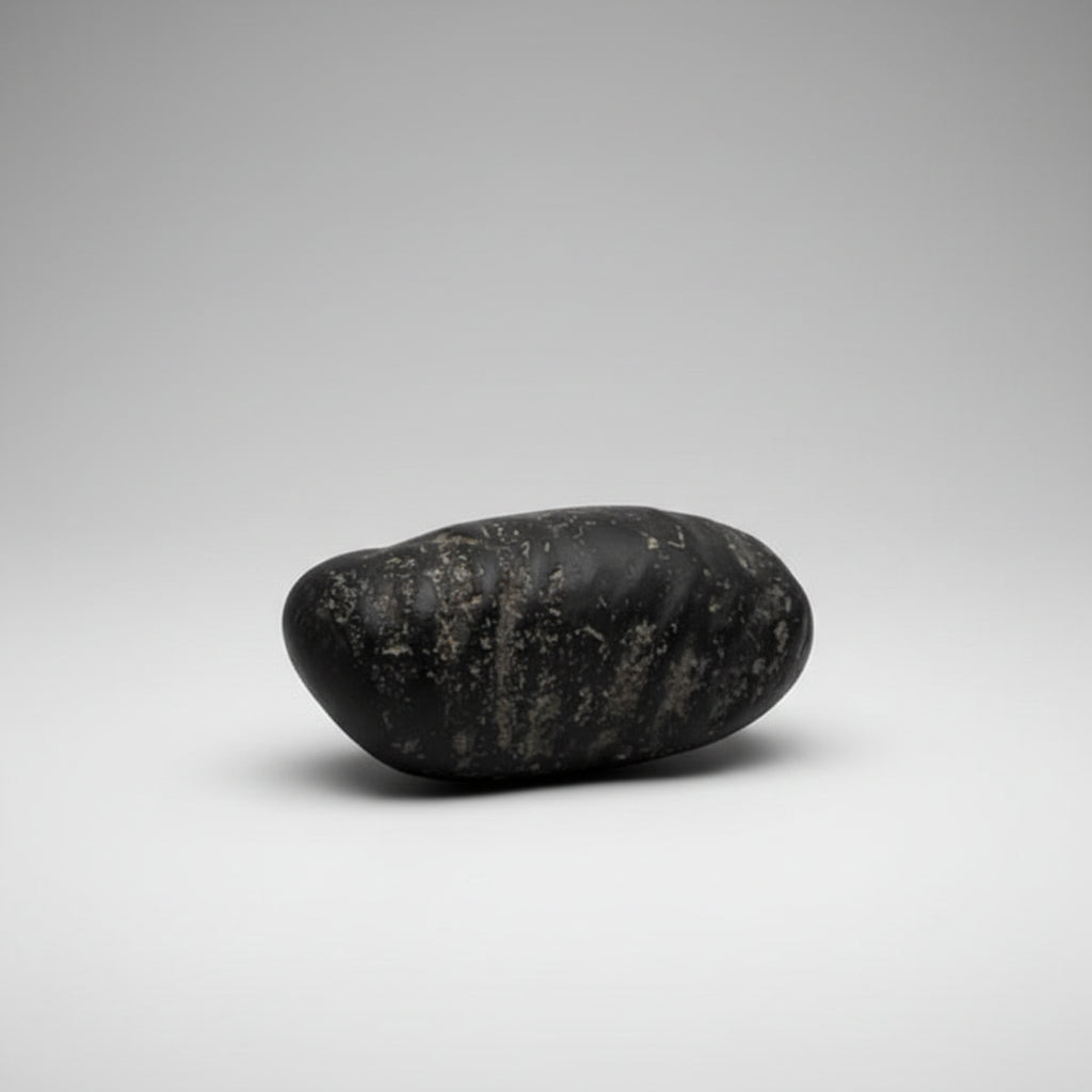 Laxmi Paduka Shaligram Shila