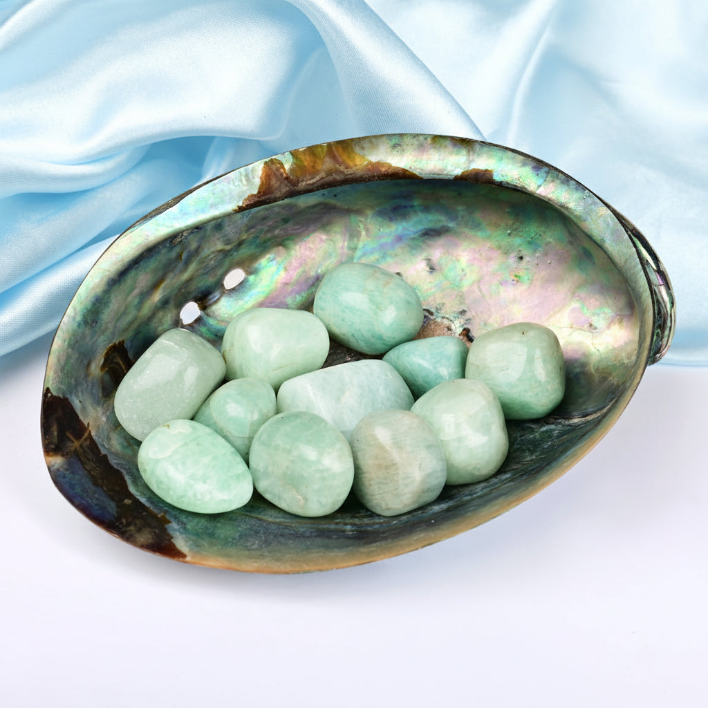 8 Directions Tumble Stone in Paua Shell-With Plate-Amazonite (North West)