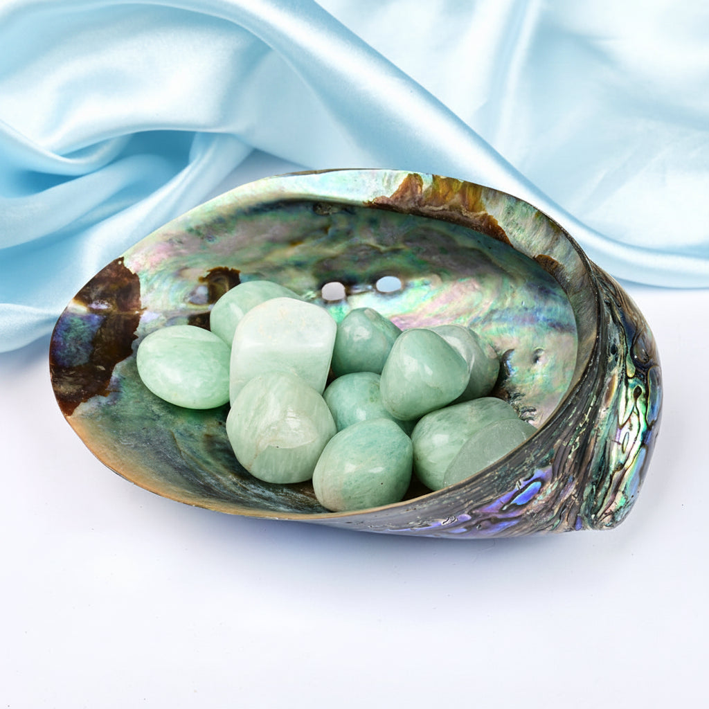 8 Directions Tumble Stone in Paua Shell-With Plate-Amazonite (North West)