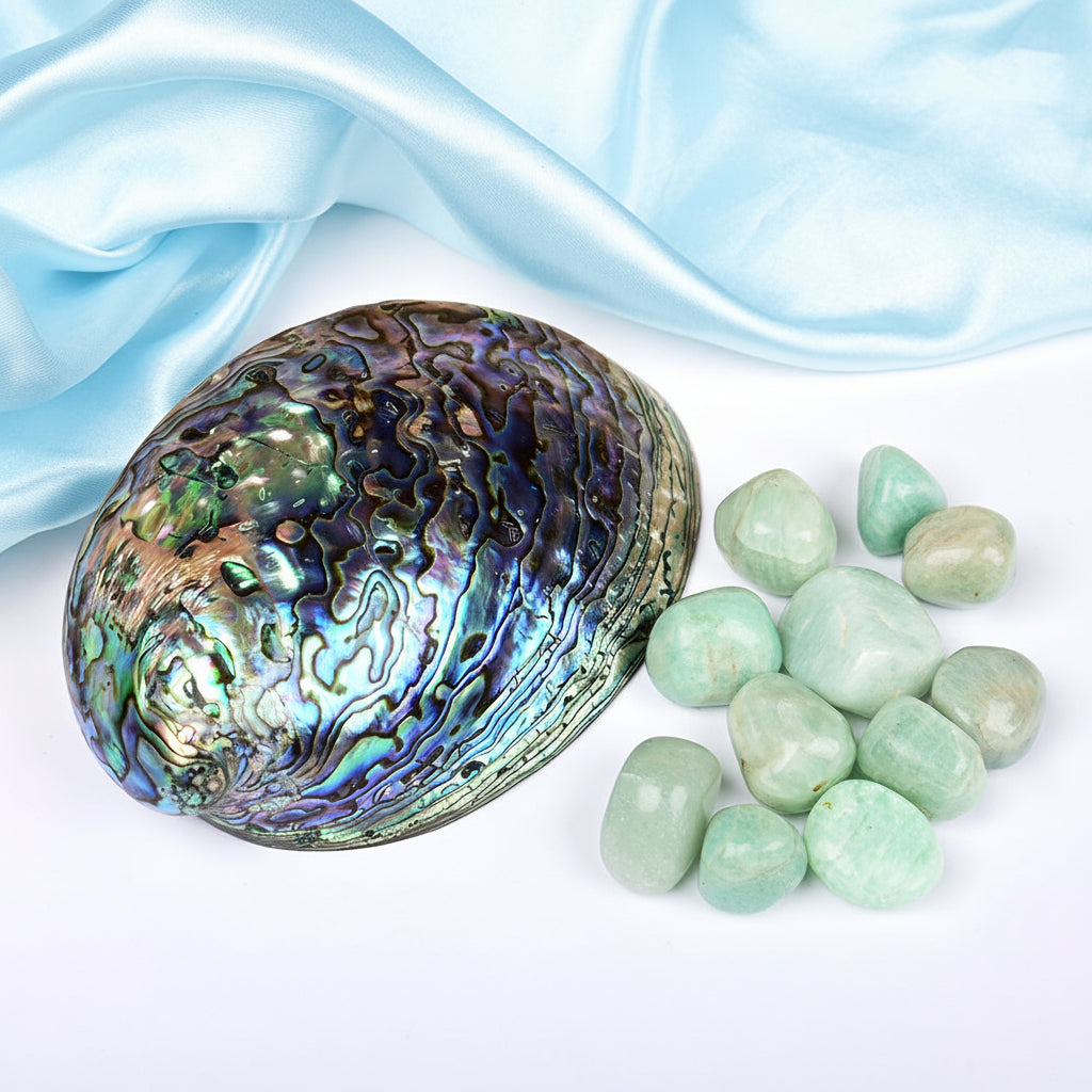 8 Directions Tumble Stone in Paua Shell-With Plate-Amazonite (North West)