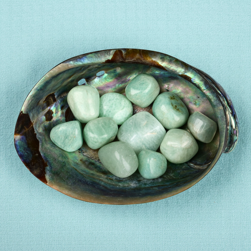 8 Directions Tumble Stone in Paua Shell-With Plate-Amazonite (North West)