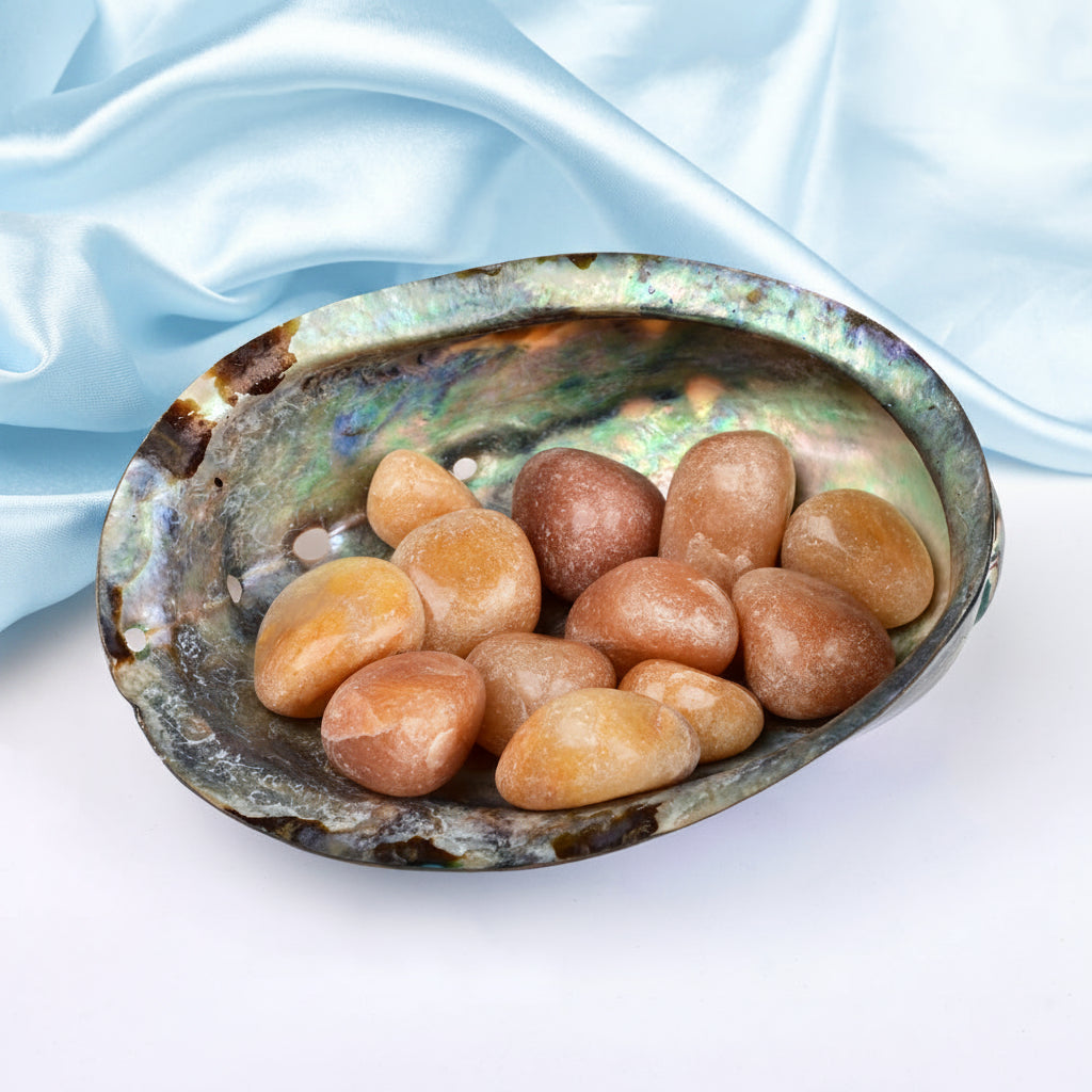 8 Directions Tumble Stone in Paua Shell-With Plate-Orange Carnelian (West)