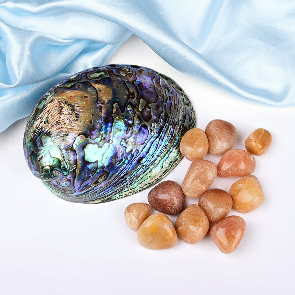 8 Directions Tumble Stone in Paua Shell-With Plate-Orange Carnelian (West)