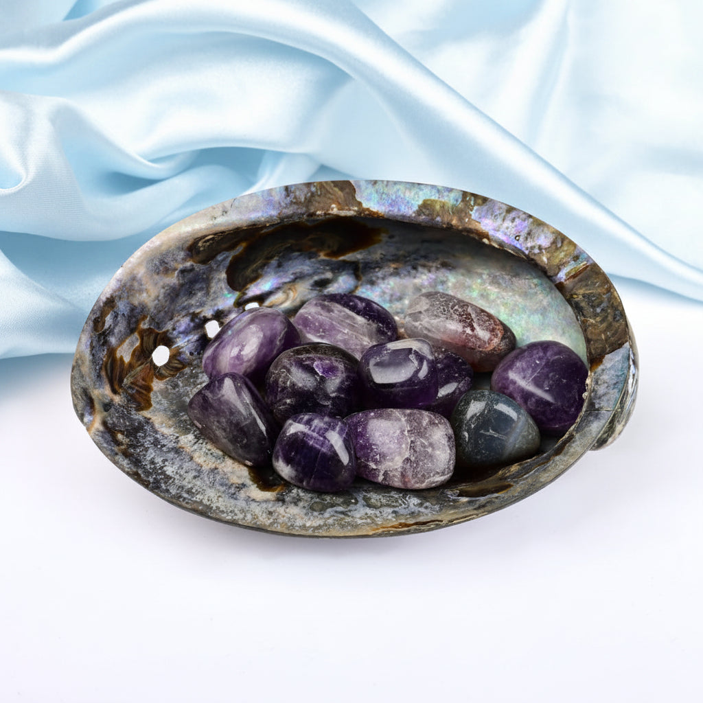 8 Directions Tumble Stone in Paua Shell-With Plate-Amethyst (North East)