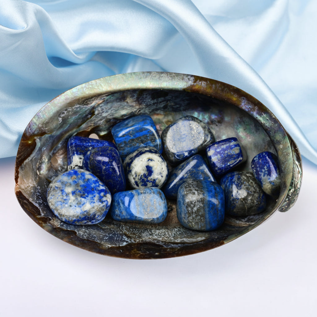 8 Directions Tumble Stone in Paua Shell-With Plate-Lapis Lazuli (North)