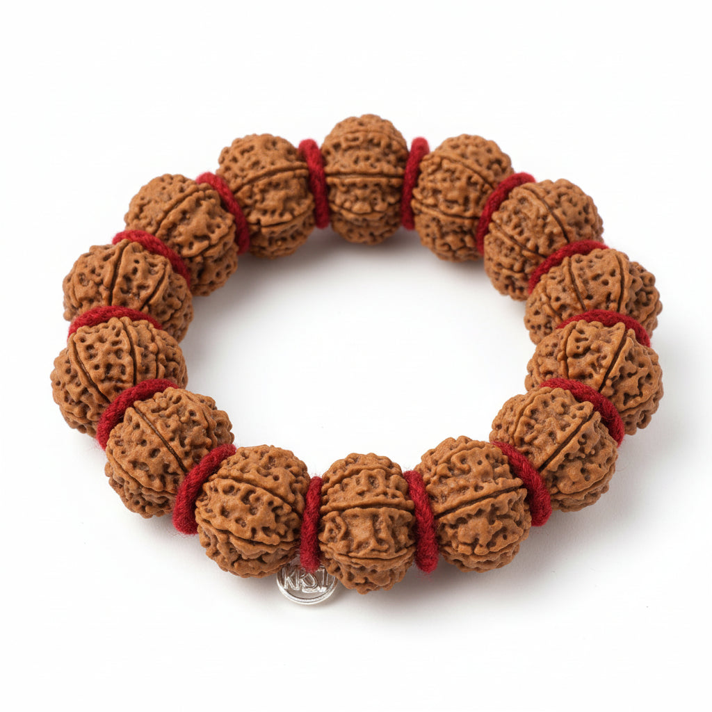 13 Mukhi Kamdev Bracelet-Small-Silver Chakri