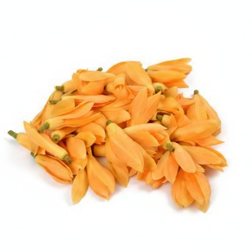 Champa Flower / Plumeria-100 Flowers