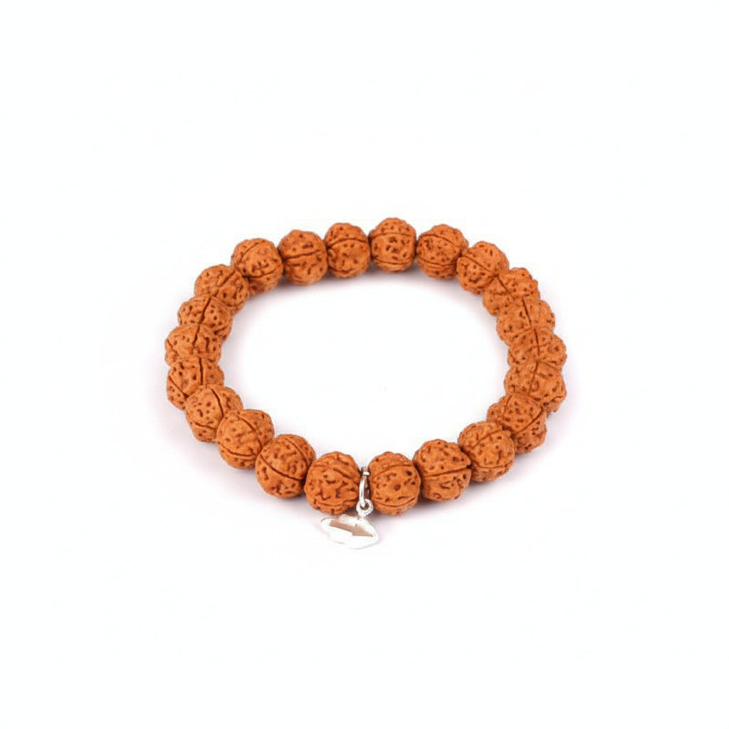 5 Mukhi Guru Bracelet from Java with Stretched Elastic - 12 mm