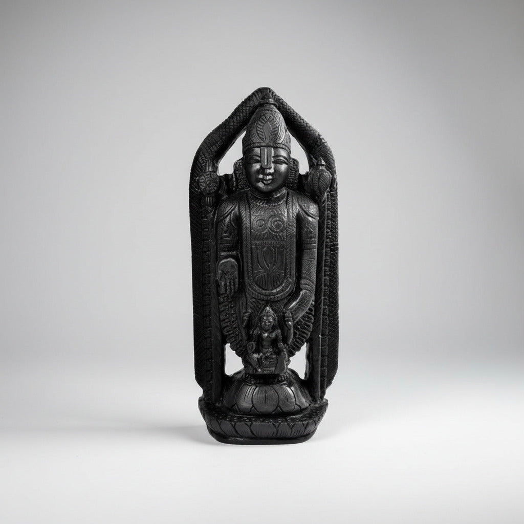 Tirupati Balaji Shaligram Murti