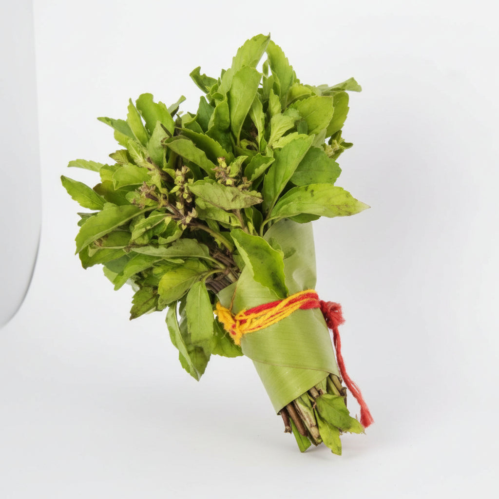Tulsi Leaves-Set of 3