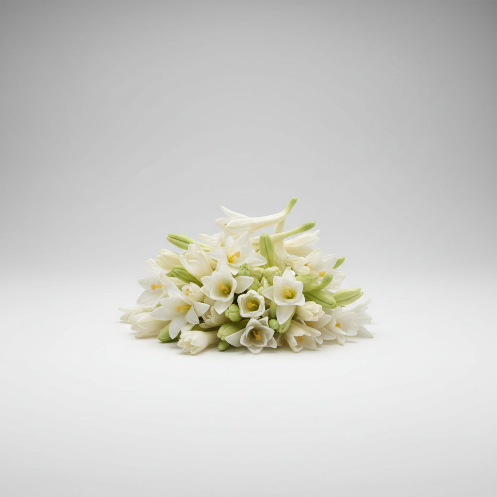 White Lilly Flower-500 gms